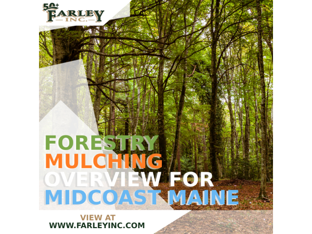 Forestry Mulching in Midcoast Maine: Unlock Your Land’s Potential